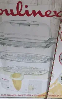 بخار پز مولینکس