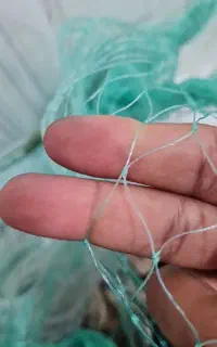 تور پرتابی