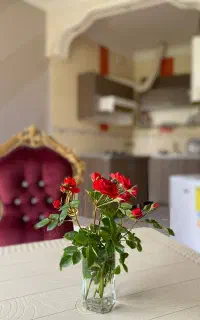 استخدام سرایدار ،حقوق و مزایای عالی + همراه اسکان