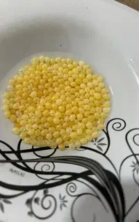 تخم حلزون