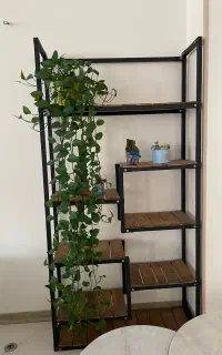 شلف ایستاده