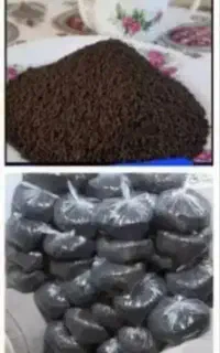 چای کله مورچه ای