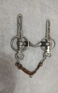 دهنه اسب