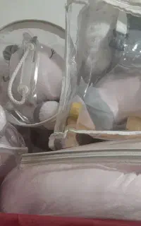 سیسمونی اسب تک شاخ