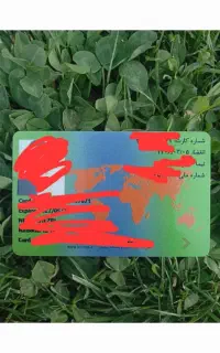 تمام مراحل کارت های بازرگانی،