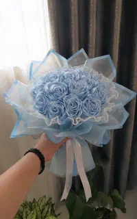 گل روبانی زیبای جاودان