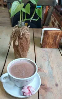 کافه گردی و موزیک زنده
