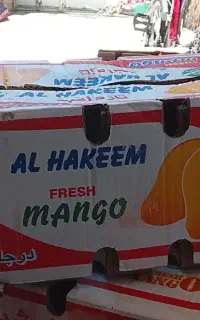 کارتون جا انبه مناسب اساس و جا به جای کفتری