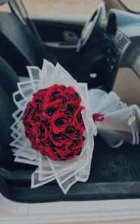 گل روبانی گل جاودانه