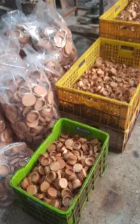 تولید درب  چوبی رزوه دار مک کارتی و بانکه