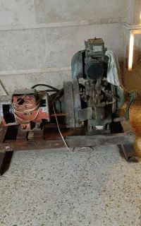 موتور برق گازوییلی مارگو