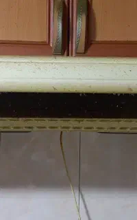 هود