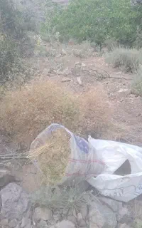 زیره فروشی