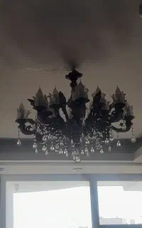 لوستر نو نو نو