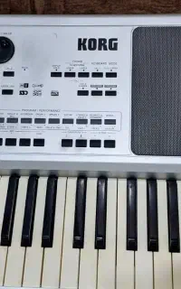 pa50