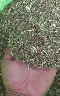 خریدوفروش خار شتر کلی و جزی، درجه یک