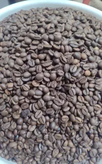 پخش قهوه حسینی