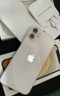 12 mini