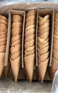 استخدام نیروی کار