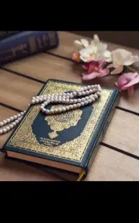 مشاوره و سرکتاب رایگان