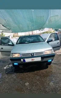 405 شاسی پلمپ بدون رنگ عروسک
