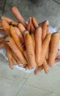 هویچ تازه