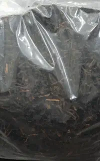 چای قلمی ممتاز بهاری