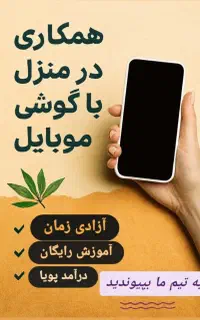 کار در منزل برای بانوان