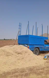 خریدار کاه لوبیا