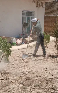 خدمات تخصصی باغ