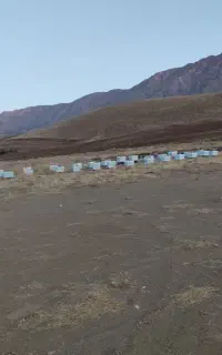 کندو عسل