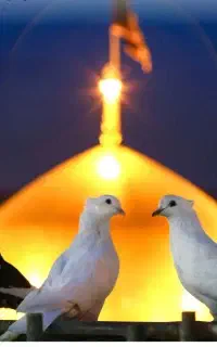 تور کربلا اربعینی ۸م و۱۱م