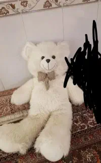 خرس تدی