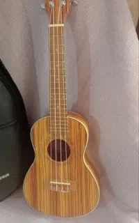 ساز اوکوله له