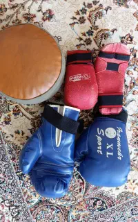 دستکش بوکس وکیک بوکسینگ
