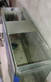 فروش اکواریوم