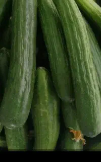 خیاشوری