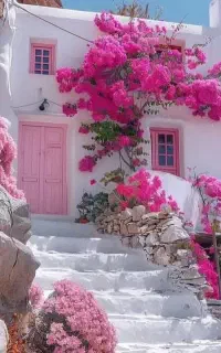 تورگردشگری لیلی ب بابلسر