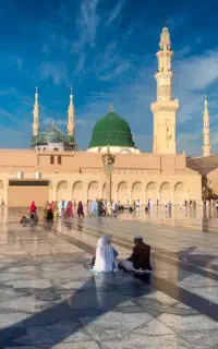گروه مداحی مراسمات مولودی و حاجیانه