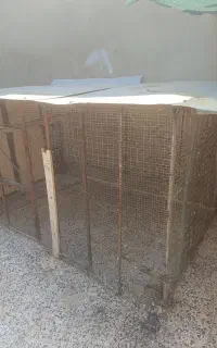 قفس پرنده