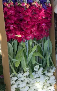 فروش گل مصنوعی