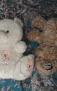 عروسک