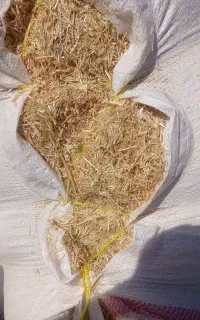 کسب وکار
