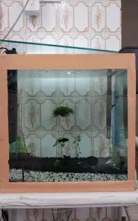 آکواریم دارای بیش از27ماهی وگیاه معاوضه باپرنده