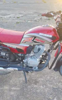 فروش احسان شکاری