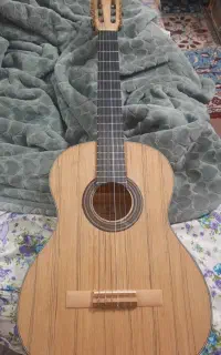 گیتار همراه با کیفش