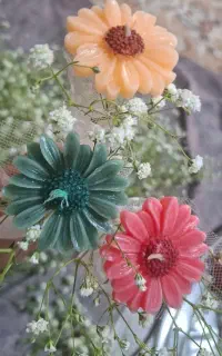 گلهای رنگارنگ
