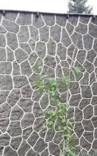 سیمان کاری ساختمان
