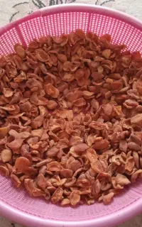 برگه زرد الو
