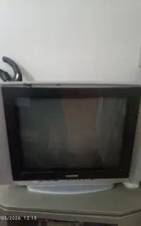 تلویزیون